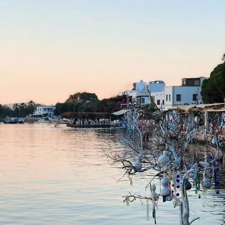 Azure Wellness Retreat (adults Only) Ξενοδοχείο *