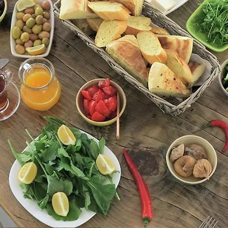 ホテル Azure Wellness Retreat (adults Only) *