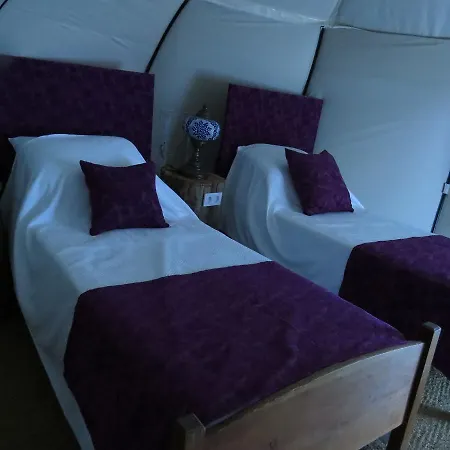 ホテル Azure Wellness Retreat (adults Only) *
